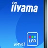 iiyama ProLite LH6564S: 65" panel AMVA3