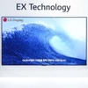LG Display představuje OLED EX s jasem vyšším o 30 %