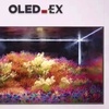 LG potvrdilo příchod 97" verze TV s jasnějším panelem OLED EX
