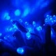 Sharp navýší výrobu modrých LED