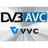 Standard DVB přidává kodek VVC (H.266)